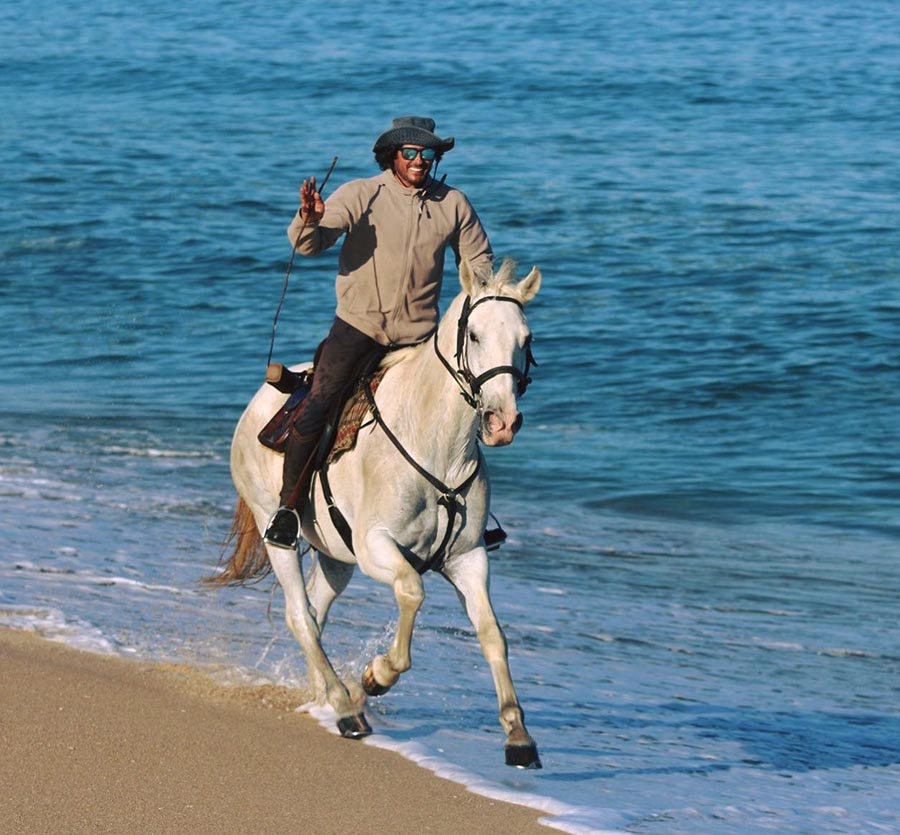 Beautiful Happy Horses, Alentejo, Portugal @Raides Vicentinos